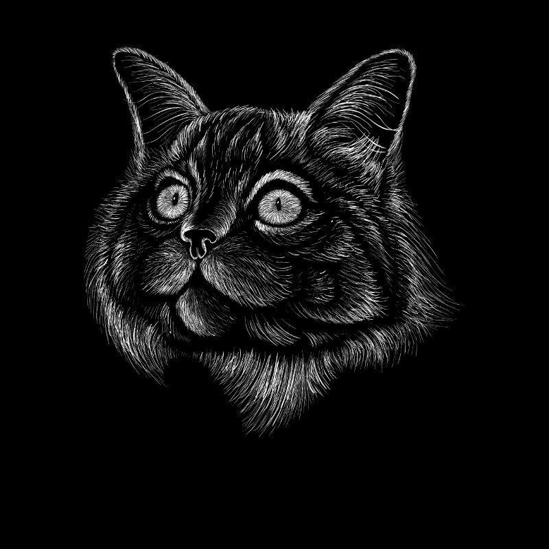 Trait de chat Lignes de dessin réalistes