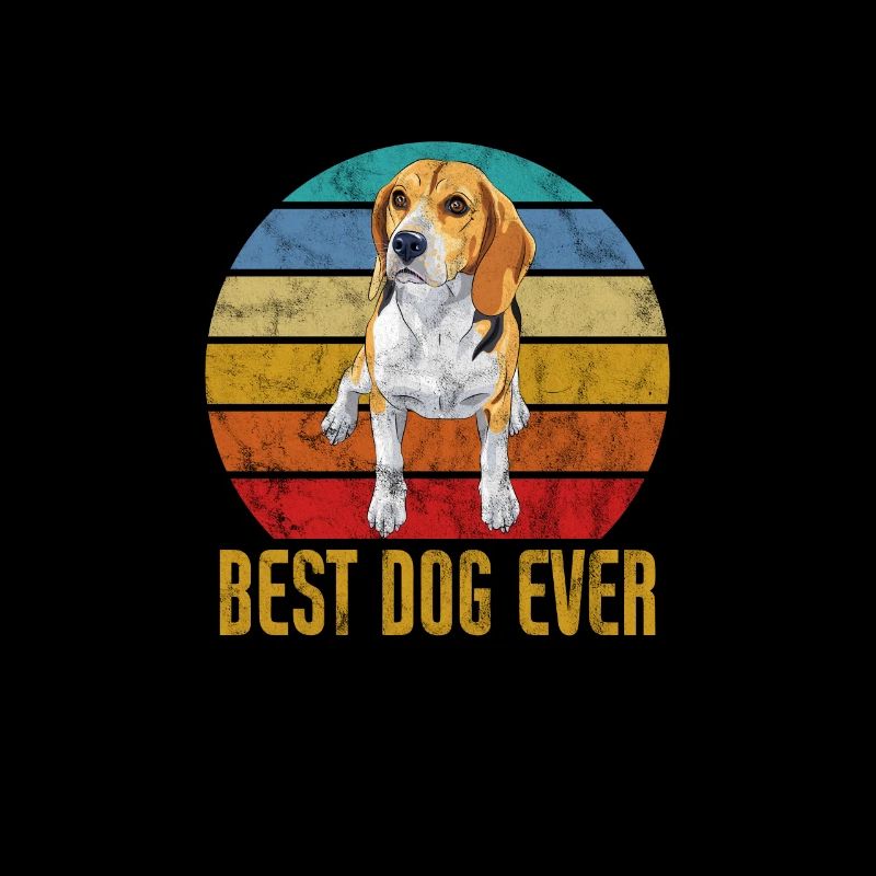 Beagle
