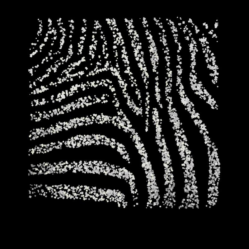 Zebra Zebra Crossing Pattern Costume Remplacement Carnaval