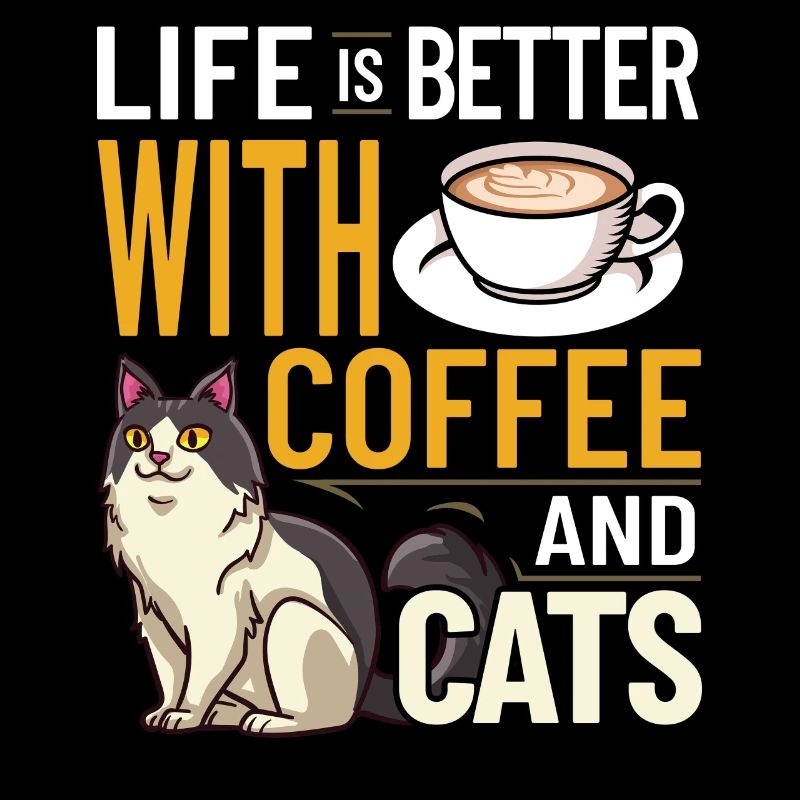 Cafetière Chat Machine Chaton Tasse Grains