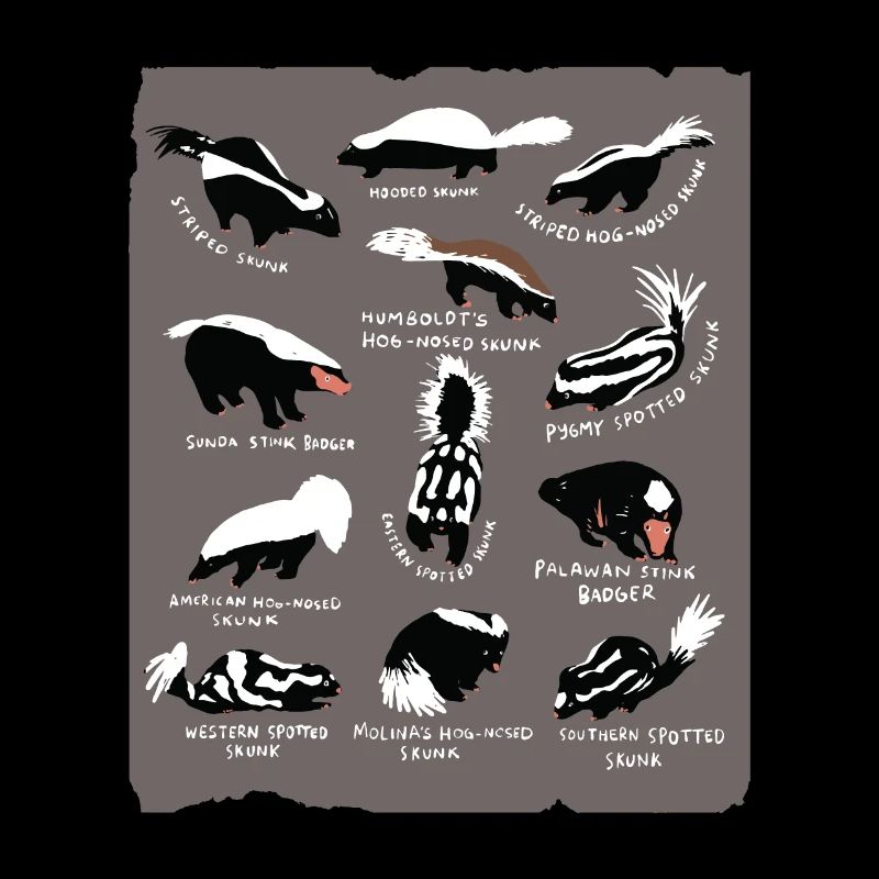Skunk