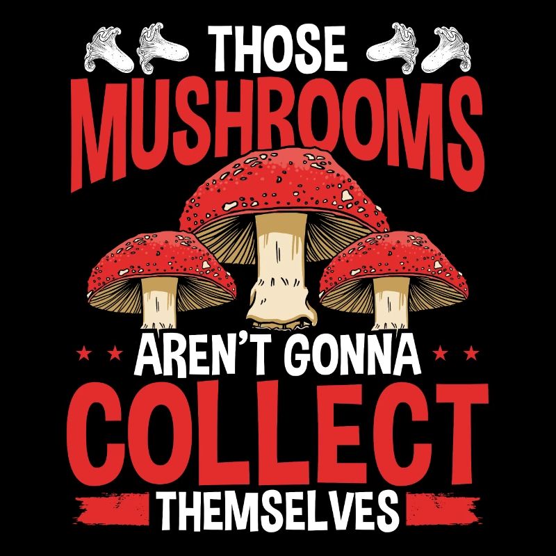 Les champignons se ramassent Collecte de champignons