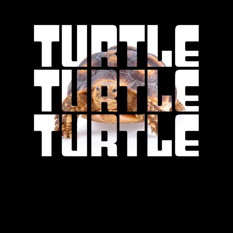 Tortue