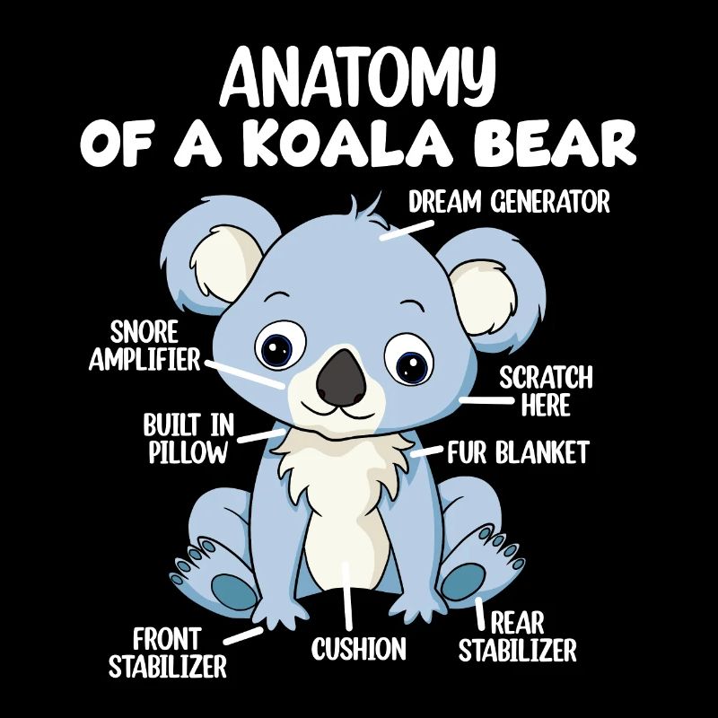 Anatomie eines Koala-Bären