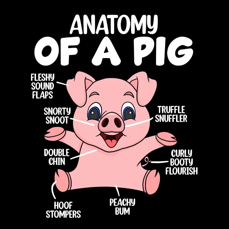 Anatomie eines Schweins