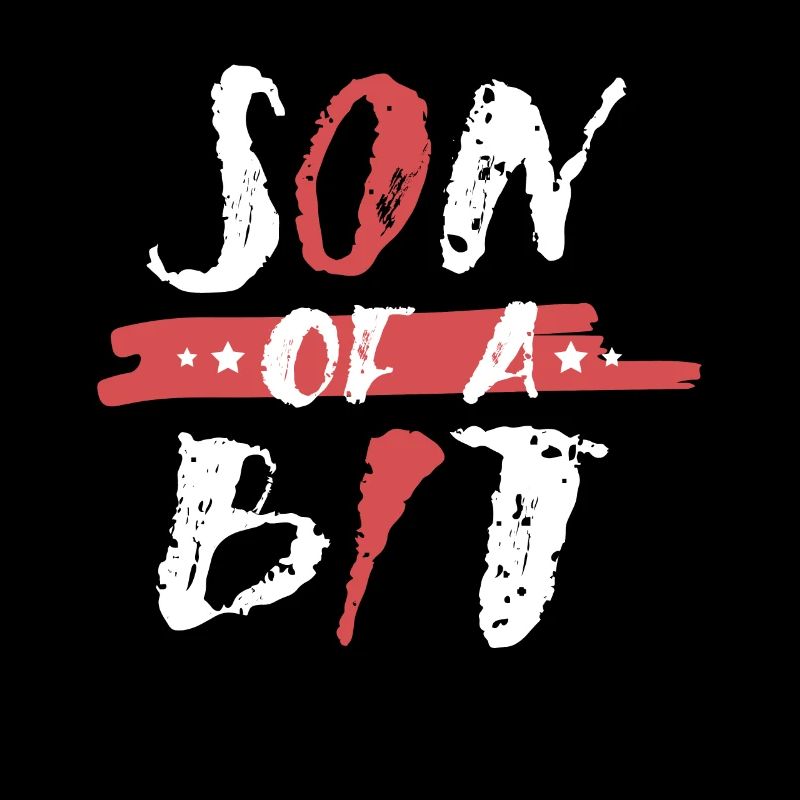 Fils d’un petit programmeur informatique