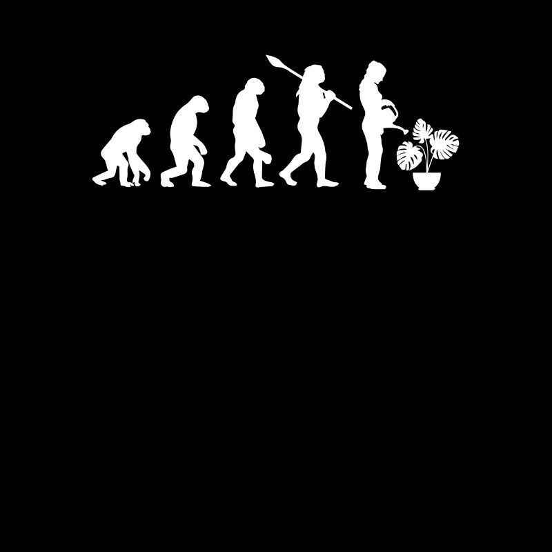 Monstera Evolution Pflanze Gärtner