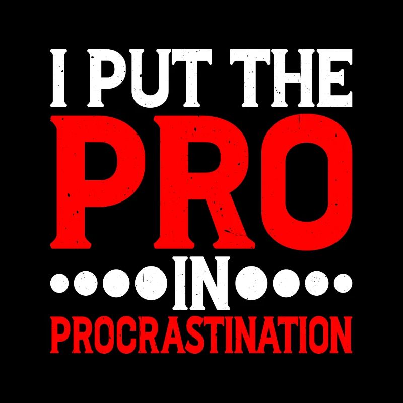 Je mets le pro dans la procrastination 13