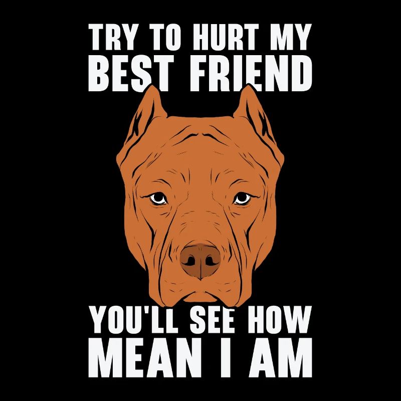 Mean Pet Pitbull Hundehalter American Bully
