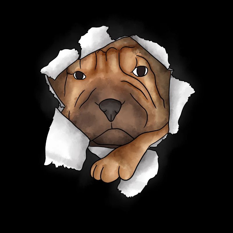 Shar Pei chinois