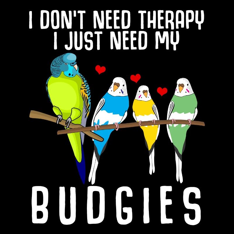 Perruche de Budgerigar