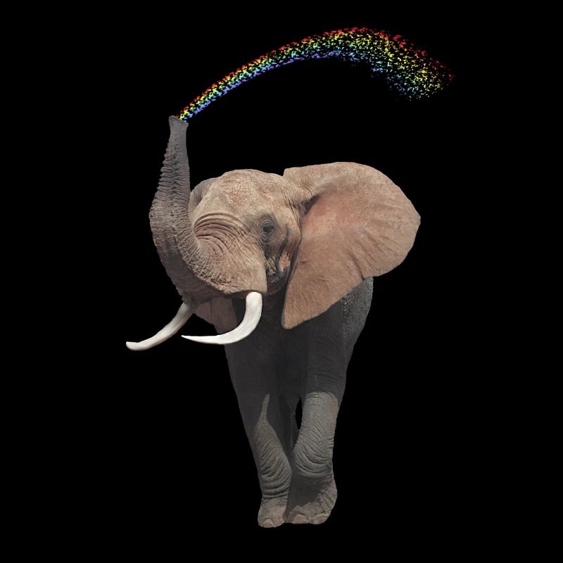 Eléphant à l’arc-en-ciel - Eli - Afrique