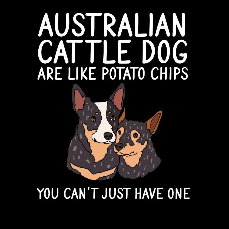 Bouvier australien