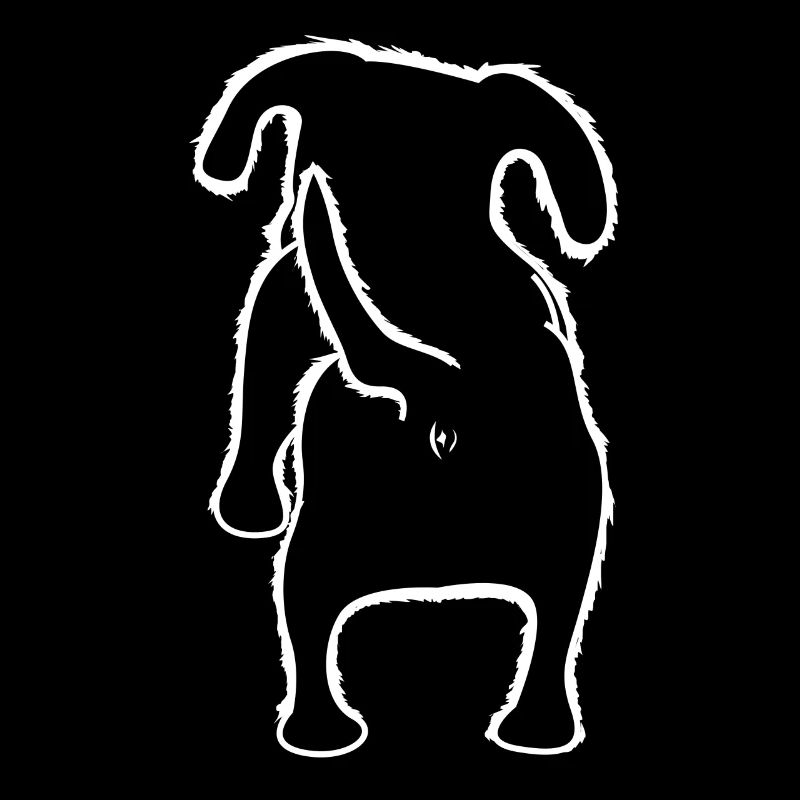 Teckel à poil dur de derrière les chiens
