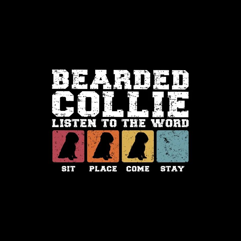 Bearded Collie écoute le mot