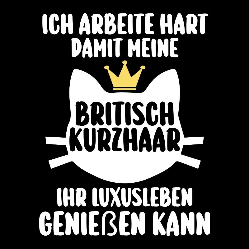 Britisch Kurzhaar Katze