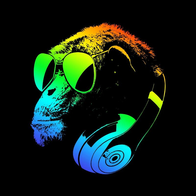 DJ Ape Gorilla Monkey Musique Techno Monkey