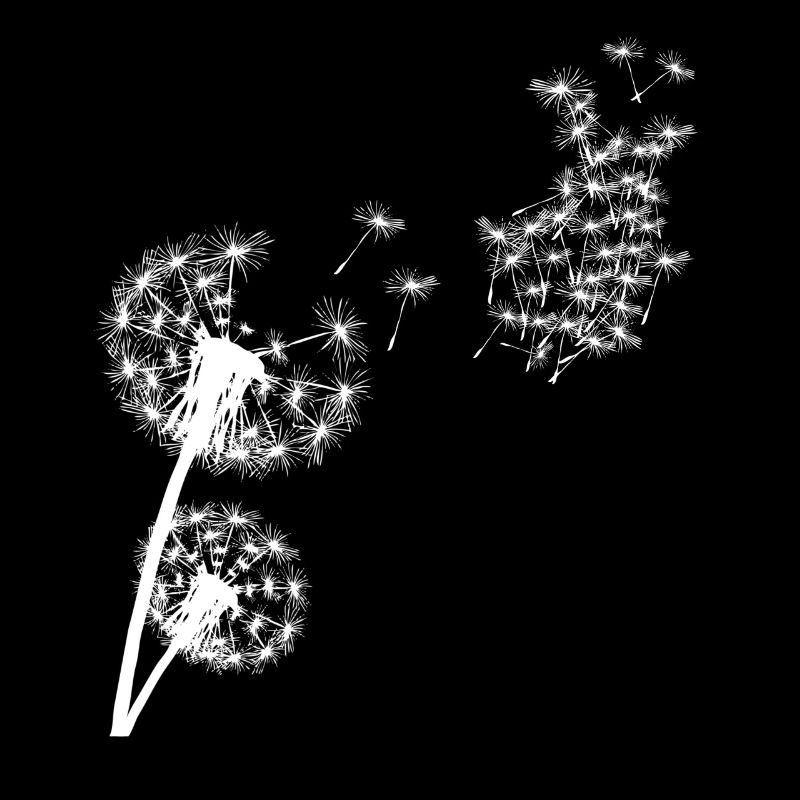 Kpop Pop coréenne K-Pop Pissenlit