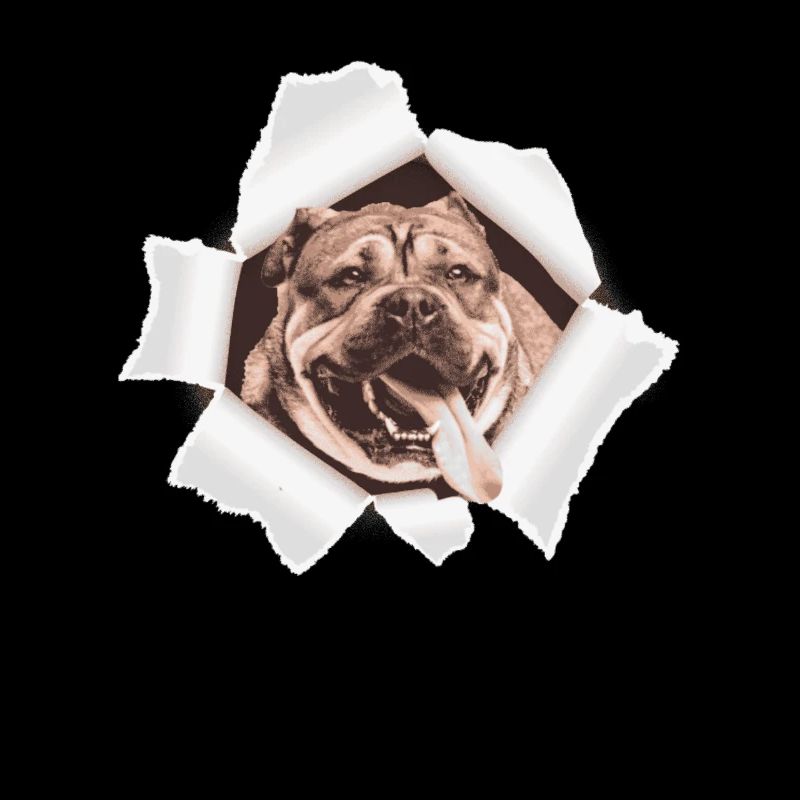 Dog peeking through a hole
