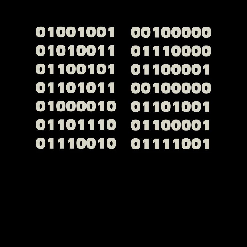 Ich Spreche Binär Code Lustiges Informatiker Coder