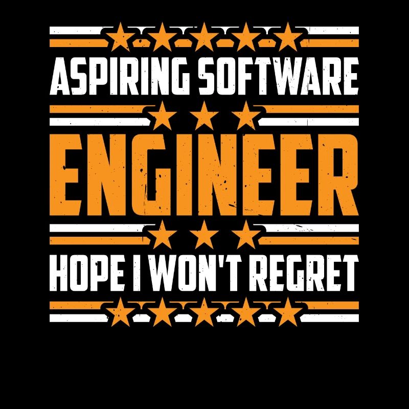 Aspiring Software Engineer, Hope I Won't Regret 3