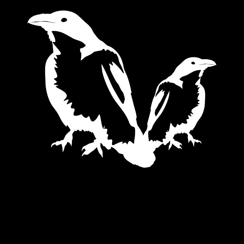 Ravens Crows Crow Raven