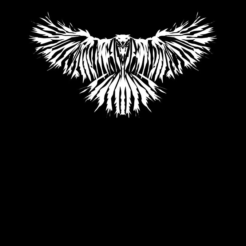 Raven Crow Ravens Crows