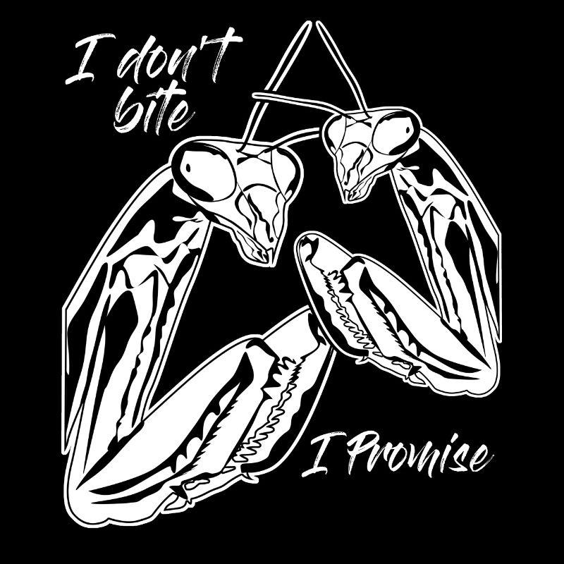 Praying Mantis Insect