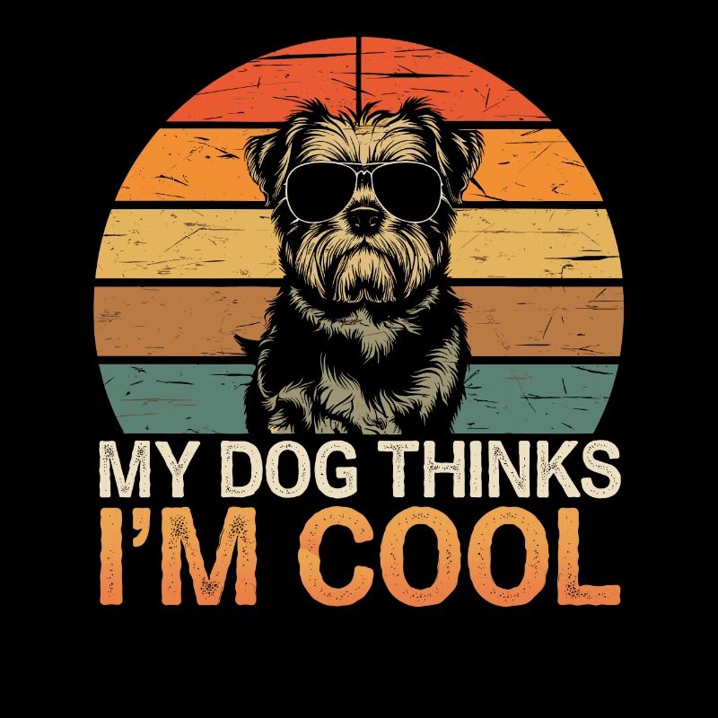 Shi shitzu mon chien pense que je suis cool