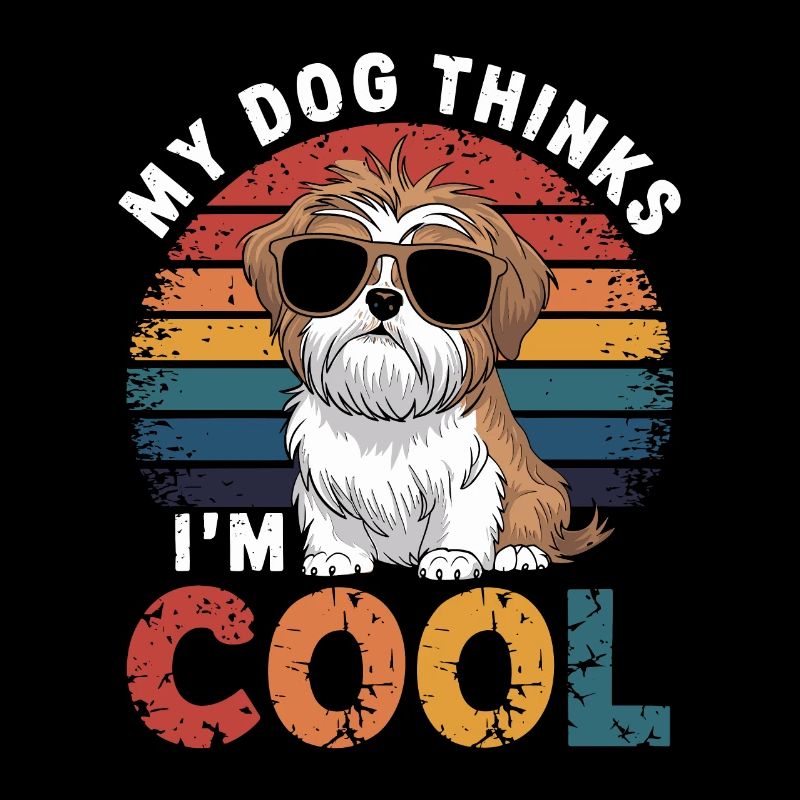 Shi shitzu mon chien pense que je suis cool