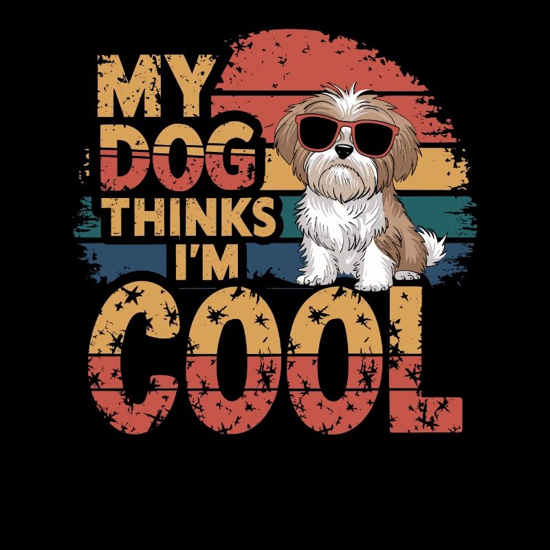 Shi shitzu mon chien pense que je suis cool