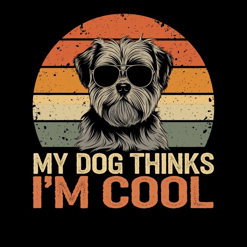 Shi shitzu mon chien pense que je suis cool