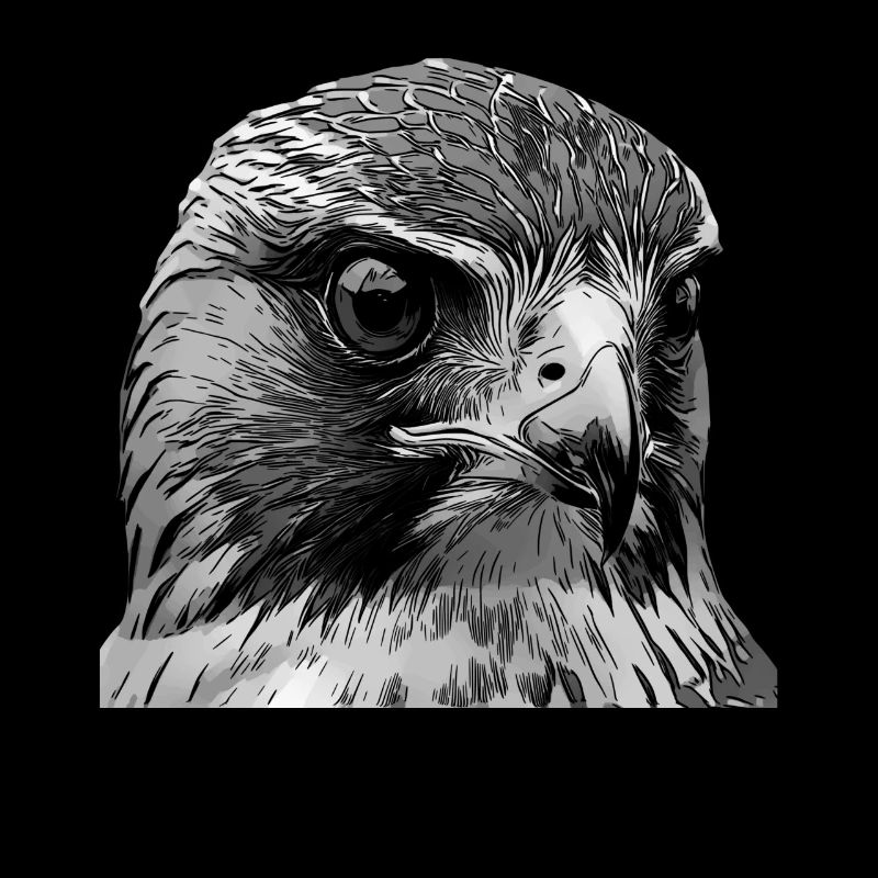Falken Vogel