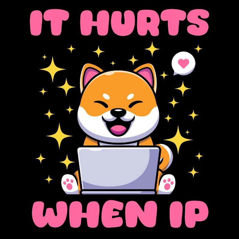 IT Geek, PC Zubehör Speichergeräte Evolution