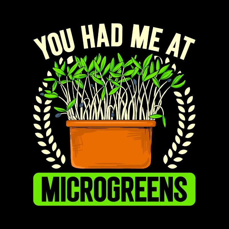 Micro-pousses Micro-pousses