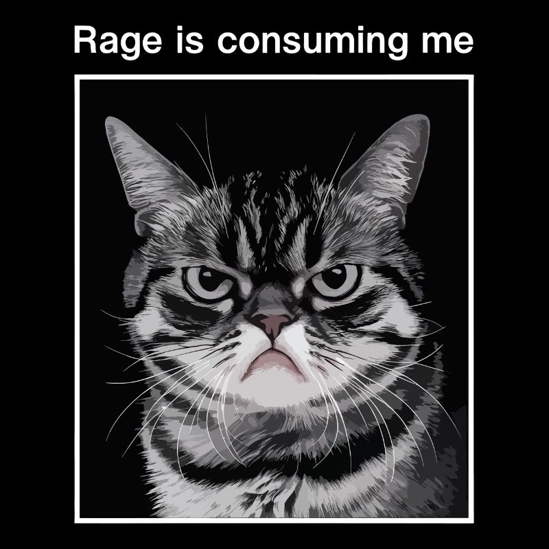 La rage me consume Chat