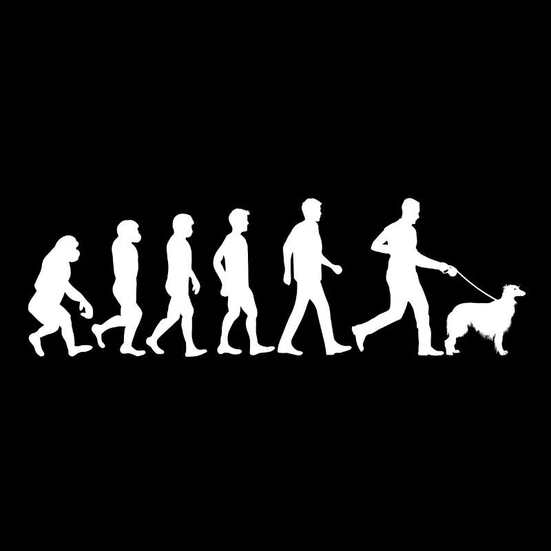 Silken Windhound Hund Evolution Hundebesitzer