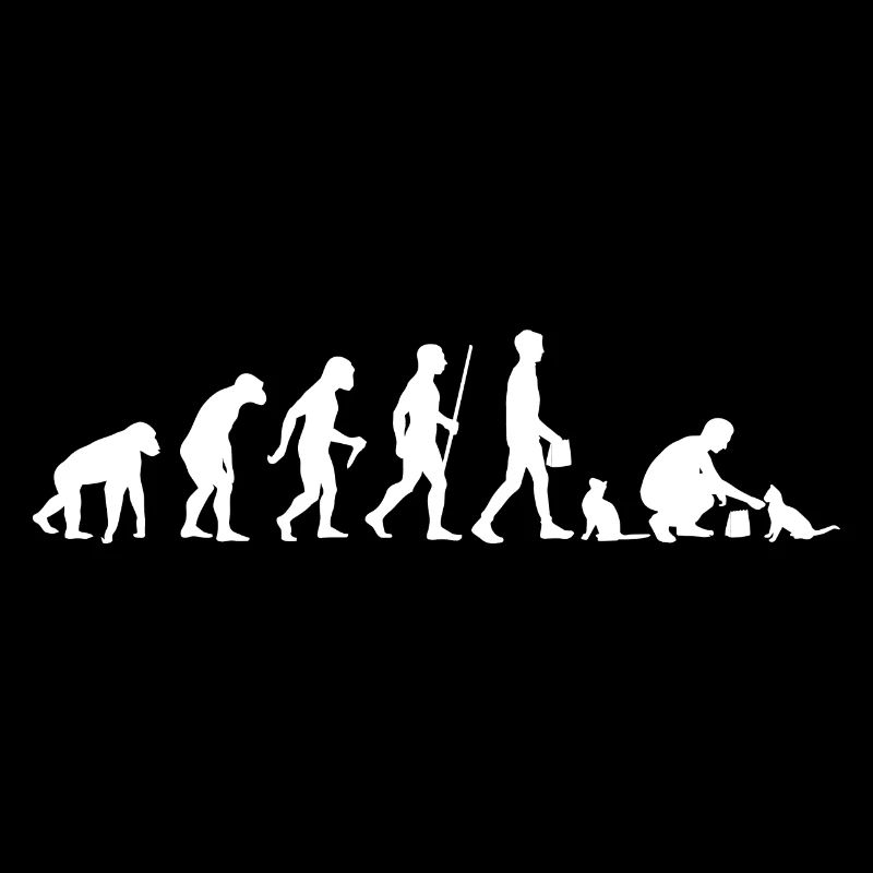 Evolution Katze Katzenbesitzer Katzenhalter