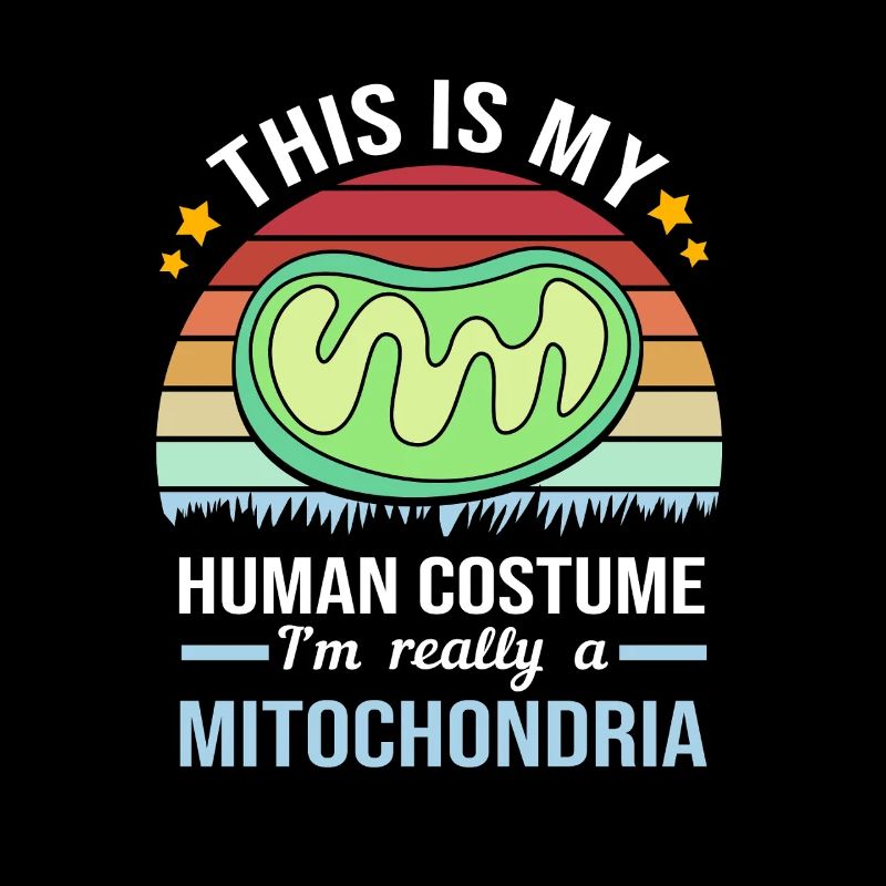 Formule structurelle de la molécule