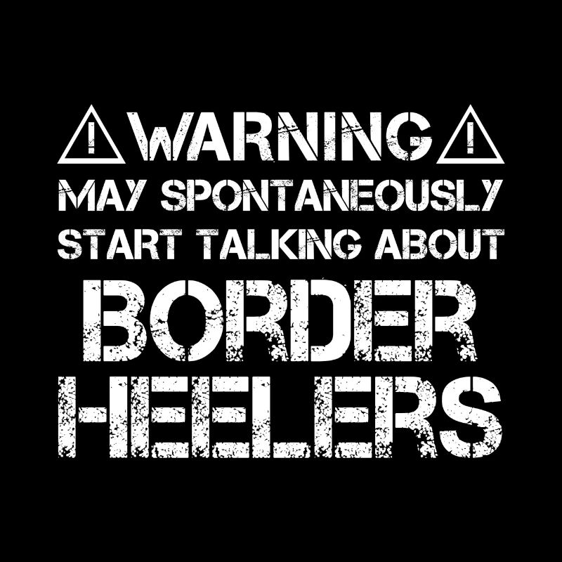 Border Heeler