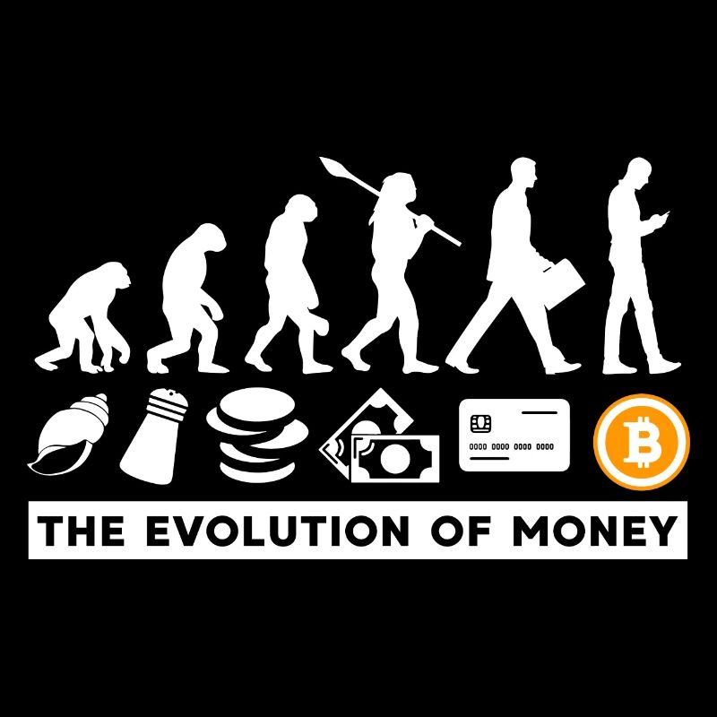 Bitcoin Crypto BTC L’évolution de l’argent