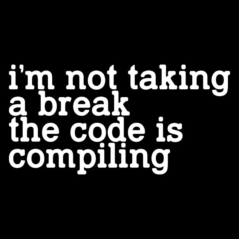 I'm Not Taking A Break, The Code Is Compiling