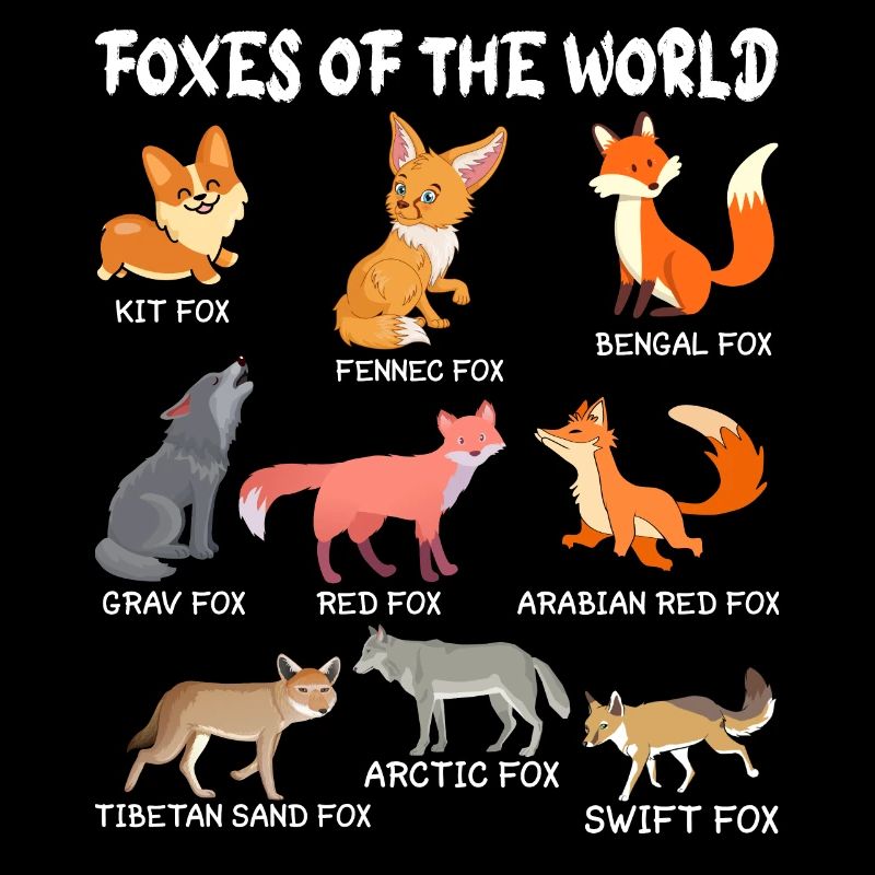 Fuchs Füchse Waldtier Rotfuchs