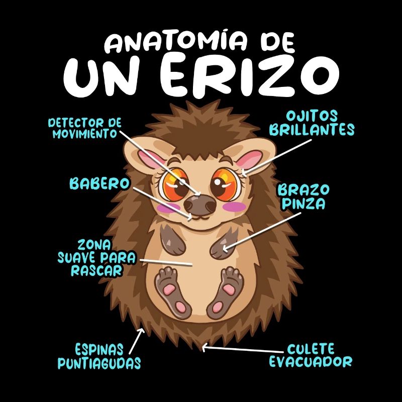 Anatomie d’un hérisson amusant