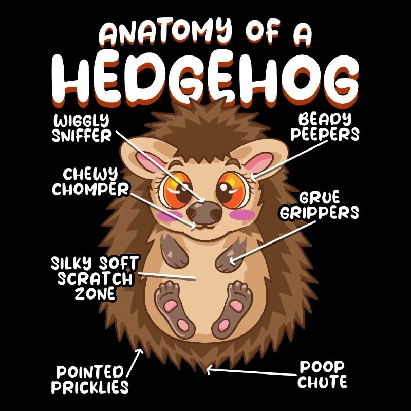 Anatomie eines lustigen Igels