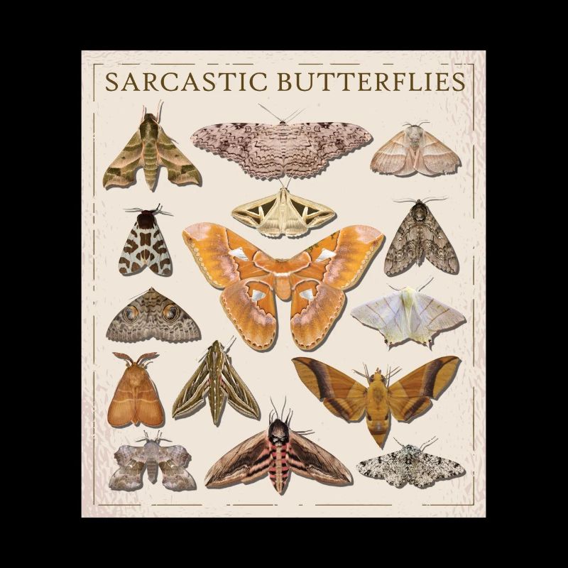 Catalogue The Sarcastic Butterfly Moth