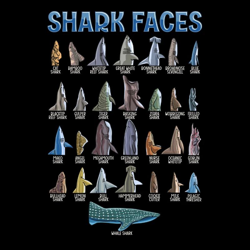Types de requins Identification des visages
