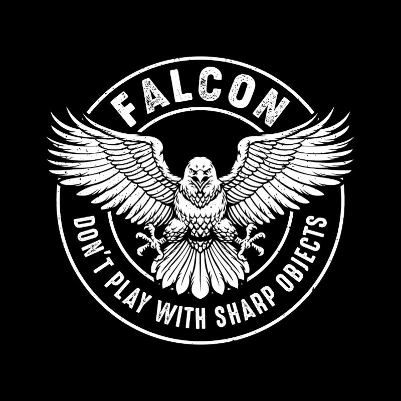 Falcon Sharp objects Falconry Ornithologist Eagle