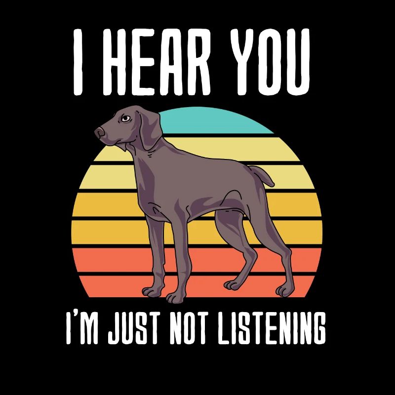 Weimaraner
