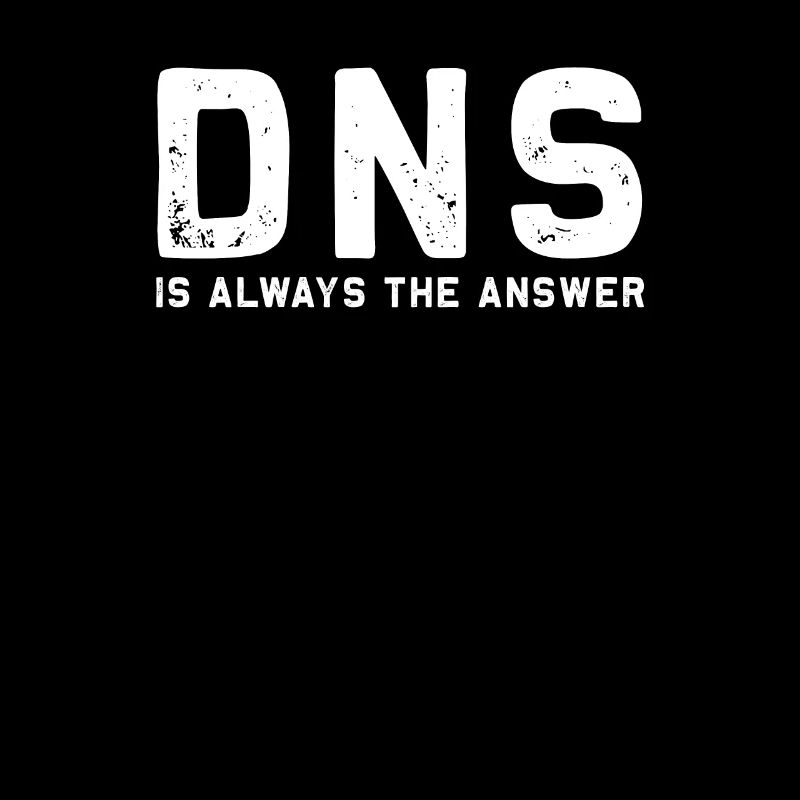 "DNS is always the answer" System Engineering